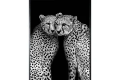 Art Print Cheeta CHEET-01