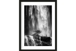 Art Print Germinate