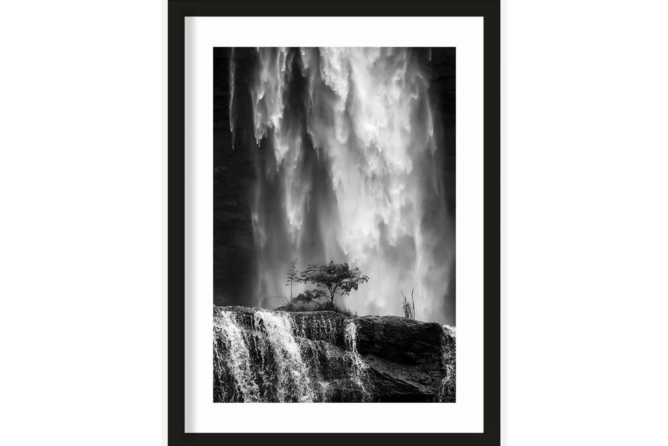 Art Print Germinate
