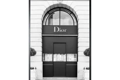 Art Print Gevel Dior FA-114
