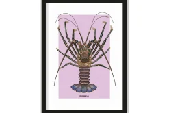 Art Print Langosta