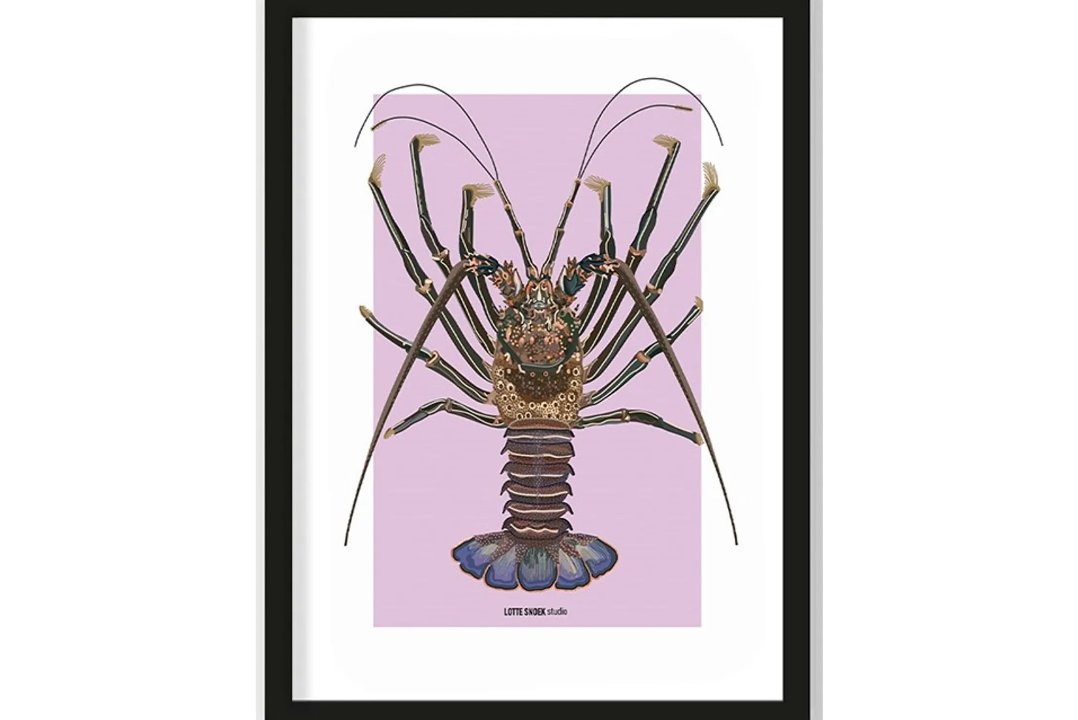 Art Print Langosta