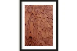 Art Print Layered Pink Brains