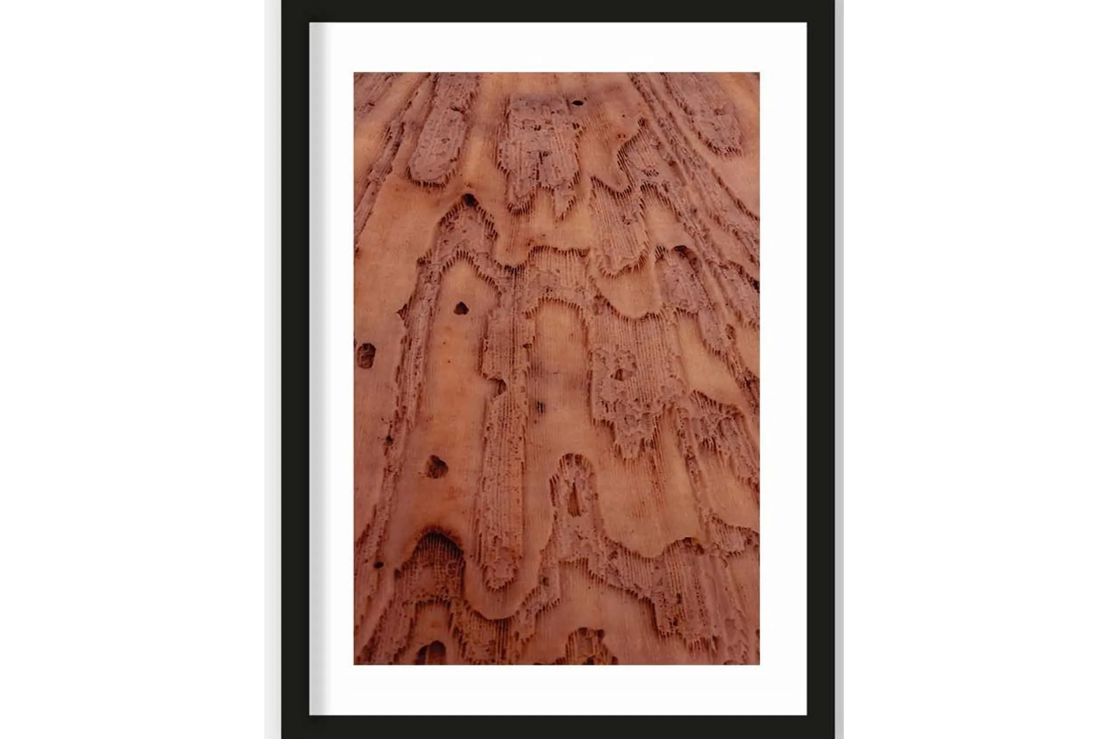 Art Print Layered Pink Brains