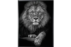Art Print Leeuwenkop SHB634-TU0