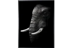 Art Print Olifant SHA414