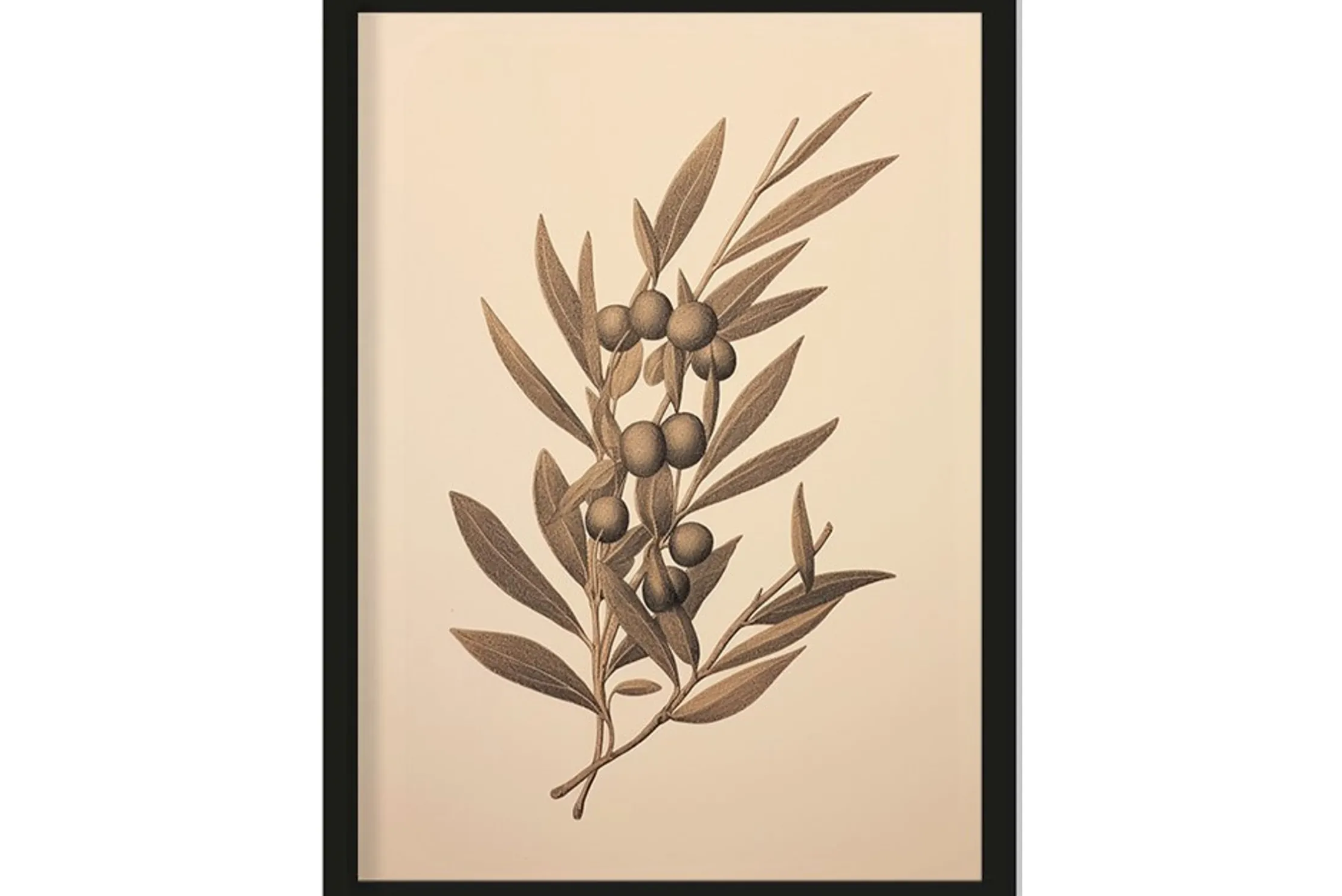 Art Print Oliva