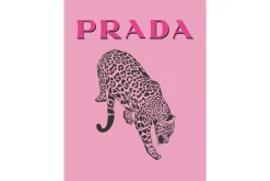 Art Print Prada Roze FA-276