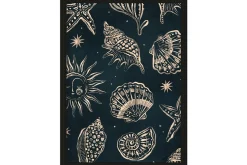 Art Print Seashells Midnight