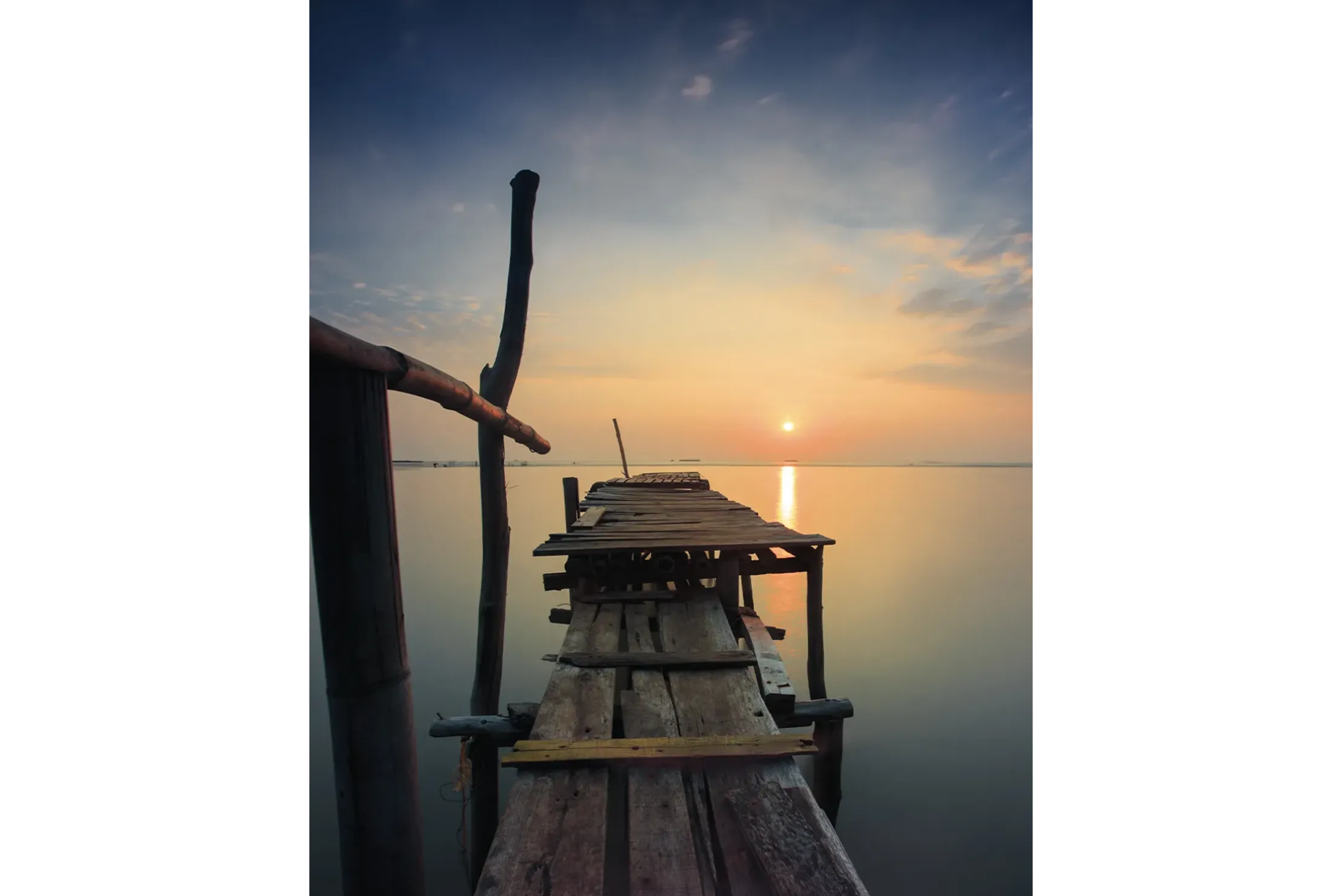 Art Print Sun Shy Cirebon