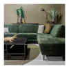 Beeld 210359 Crocodile