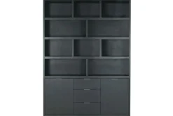 Boekenkast Established