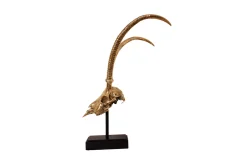 Deco H13 Gazelle Skull