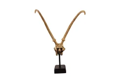 Deco H13 Gazelle Skull