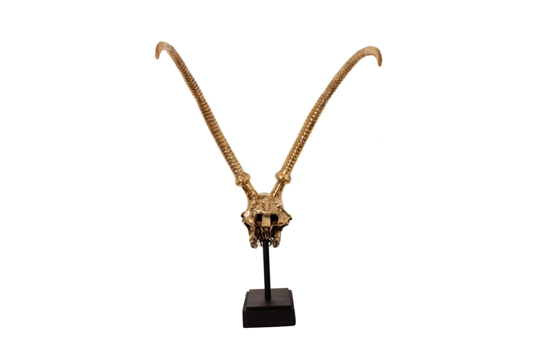 Deco H13 Gazelle Skull