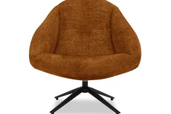 DraaifauteuilBoudewijn
