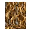 Hanglamp LB039/9+1 ambachtelijk brons Aix | Leclercq & Bouwman