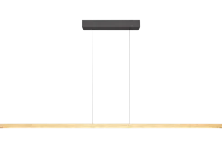 Hanglamp Real 3