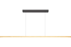 Hanglamp Real 3