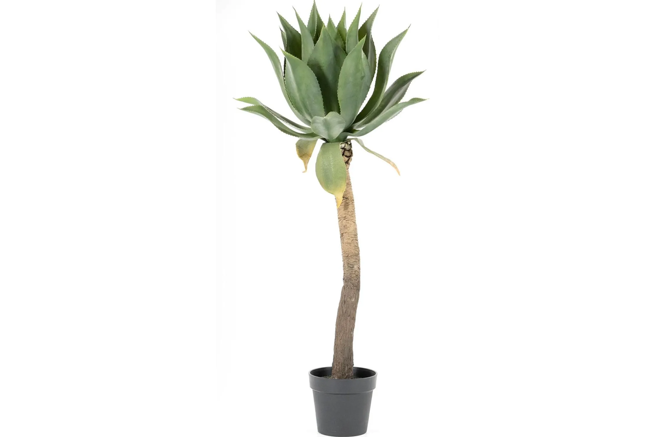 Kunstplant 403091 Agave