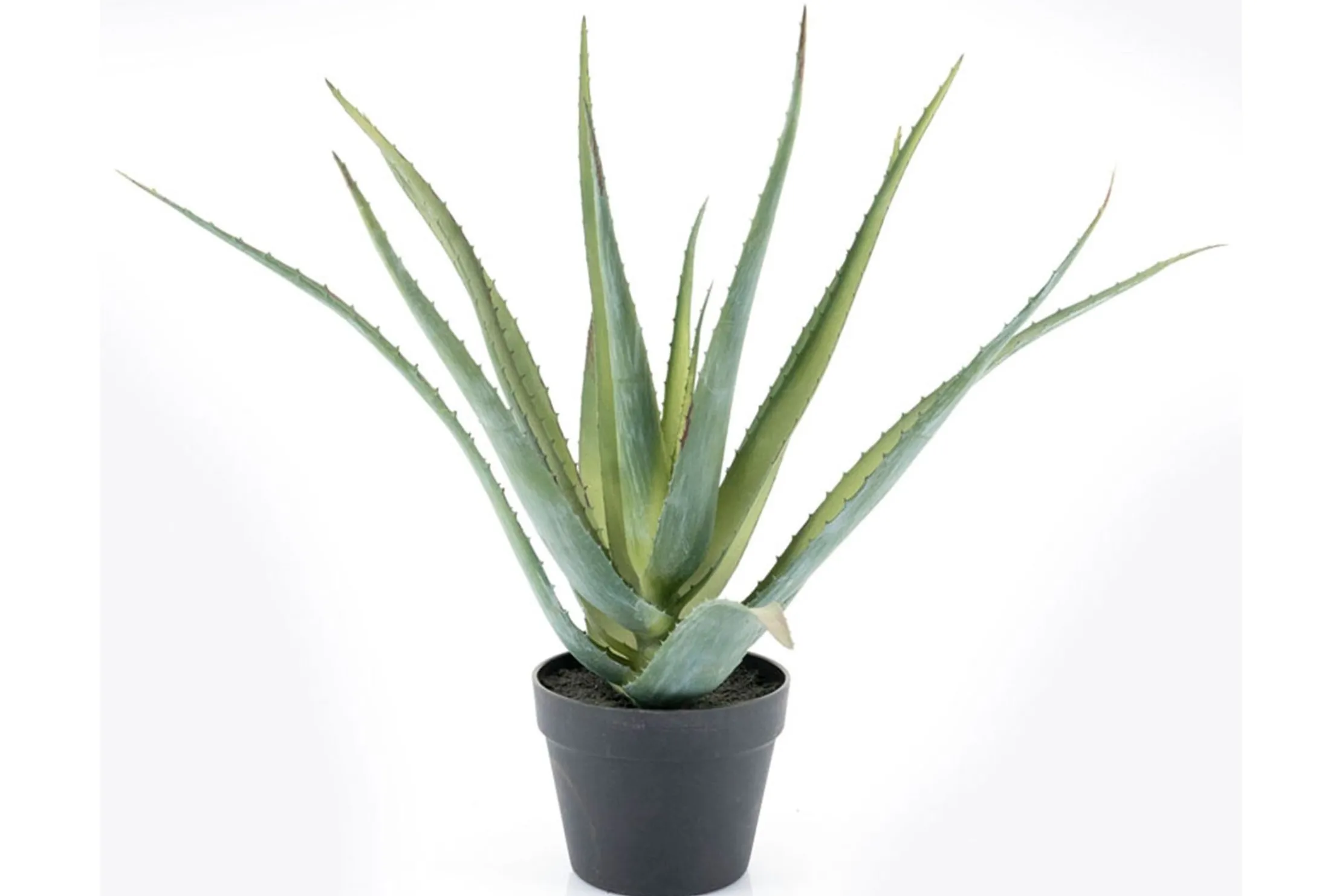 Kunstplant 403120 Aloe Vera