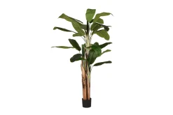 Kunstplant Musa DS-54.003