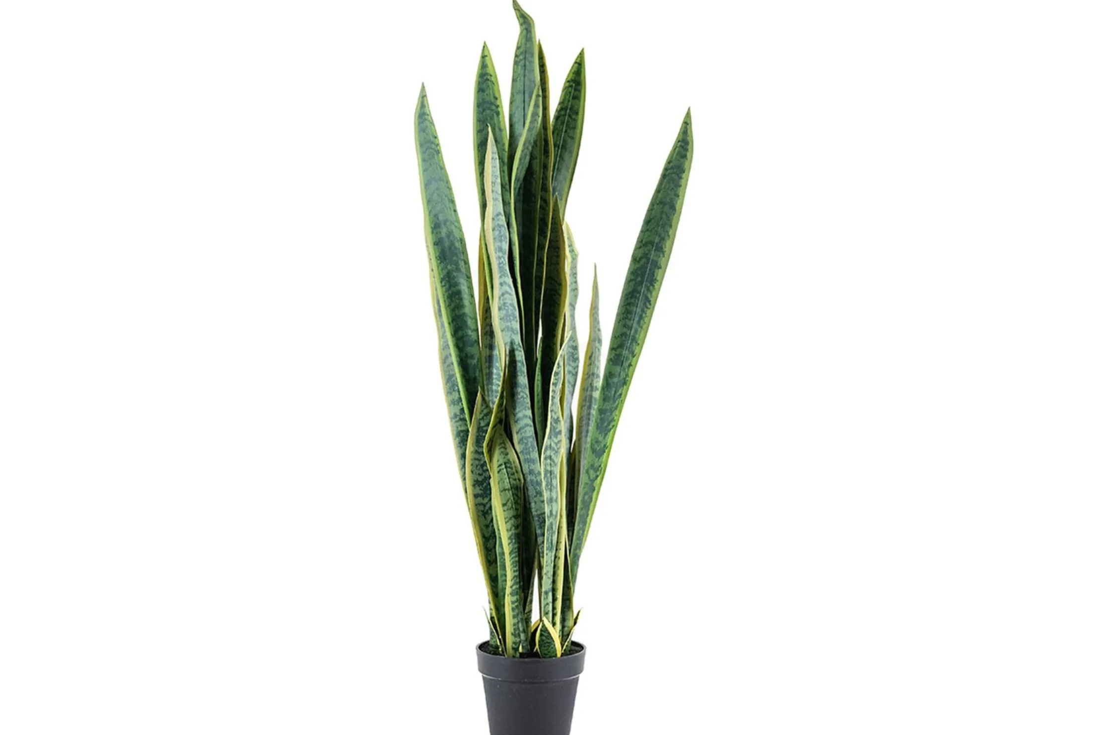 Kunstplant 405117 Sanseveria