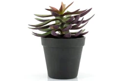 Kunstplant 403114 Vetplant