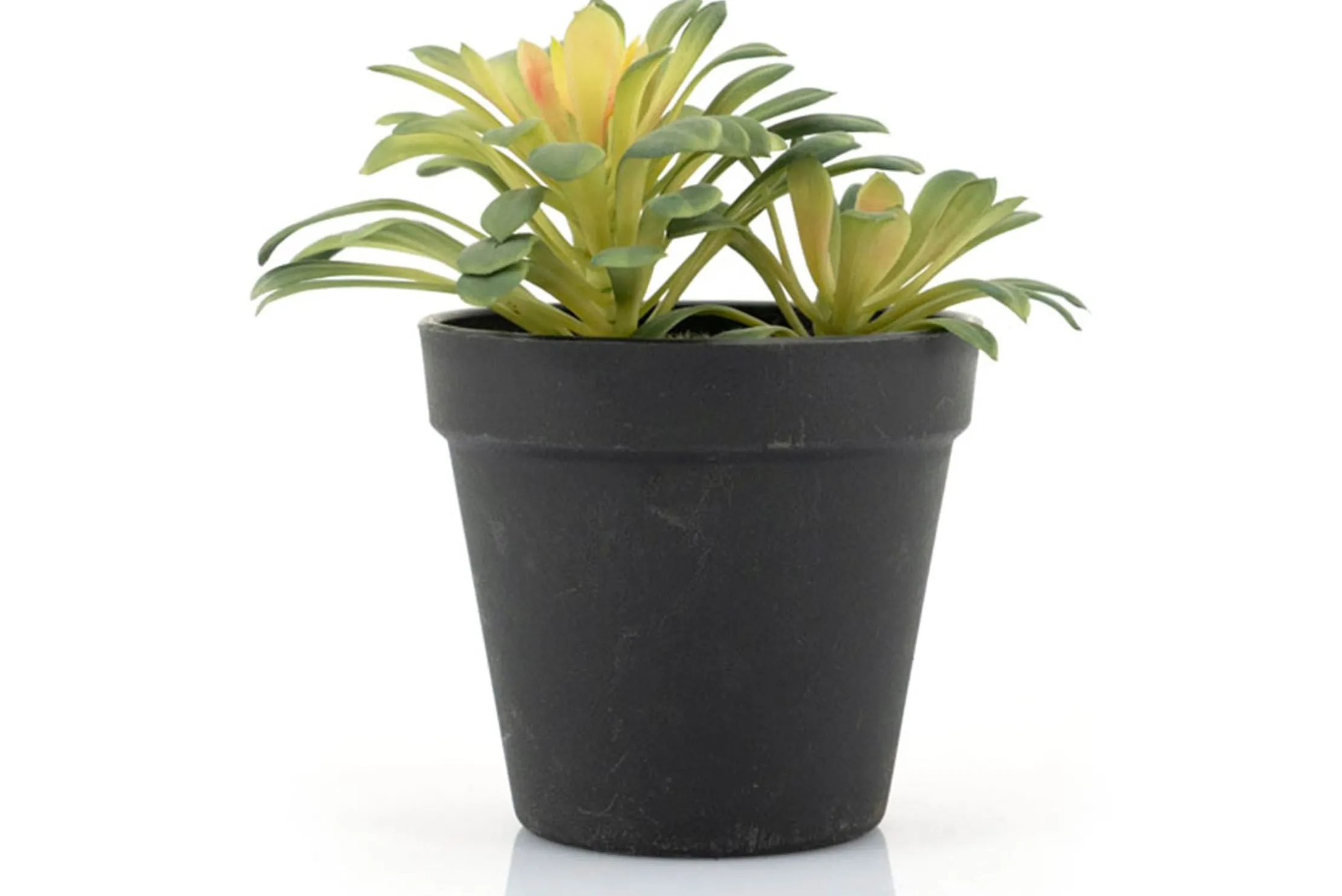 Kunstplant 403115 Vetplant
