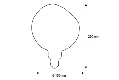 Lichtbron | Segula