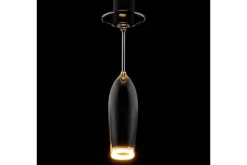Lichtbron | Segula