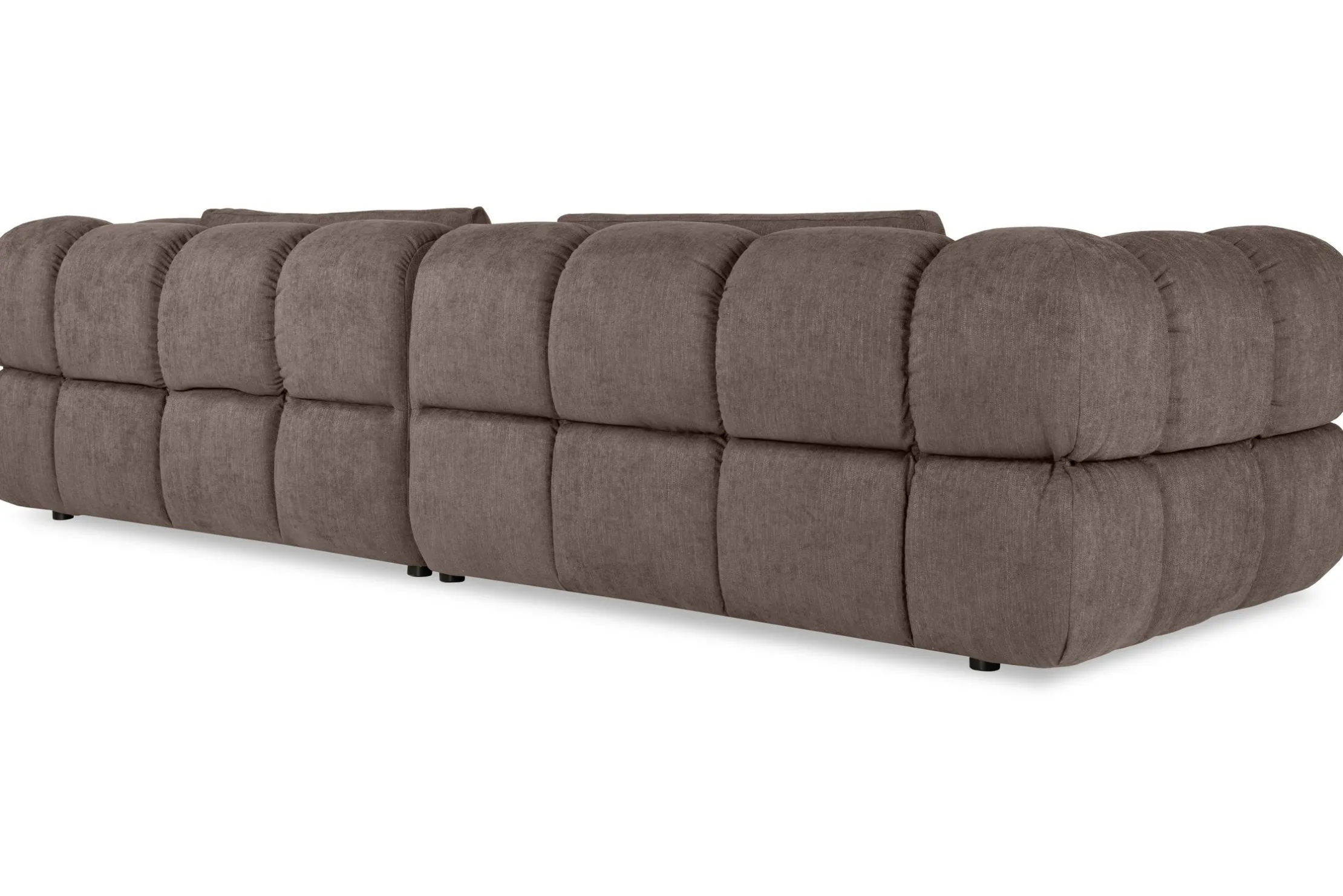 Loungebank Delight
