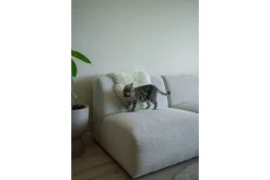 Loungebank Elore