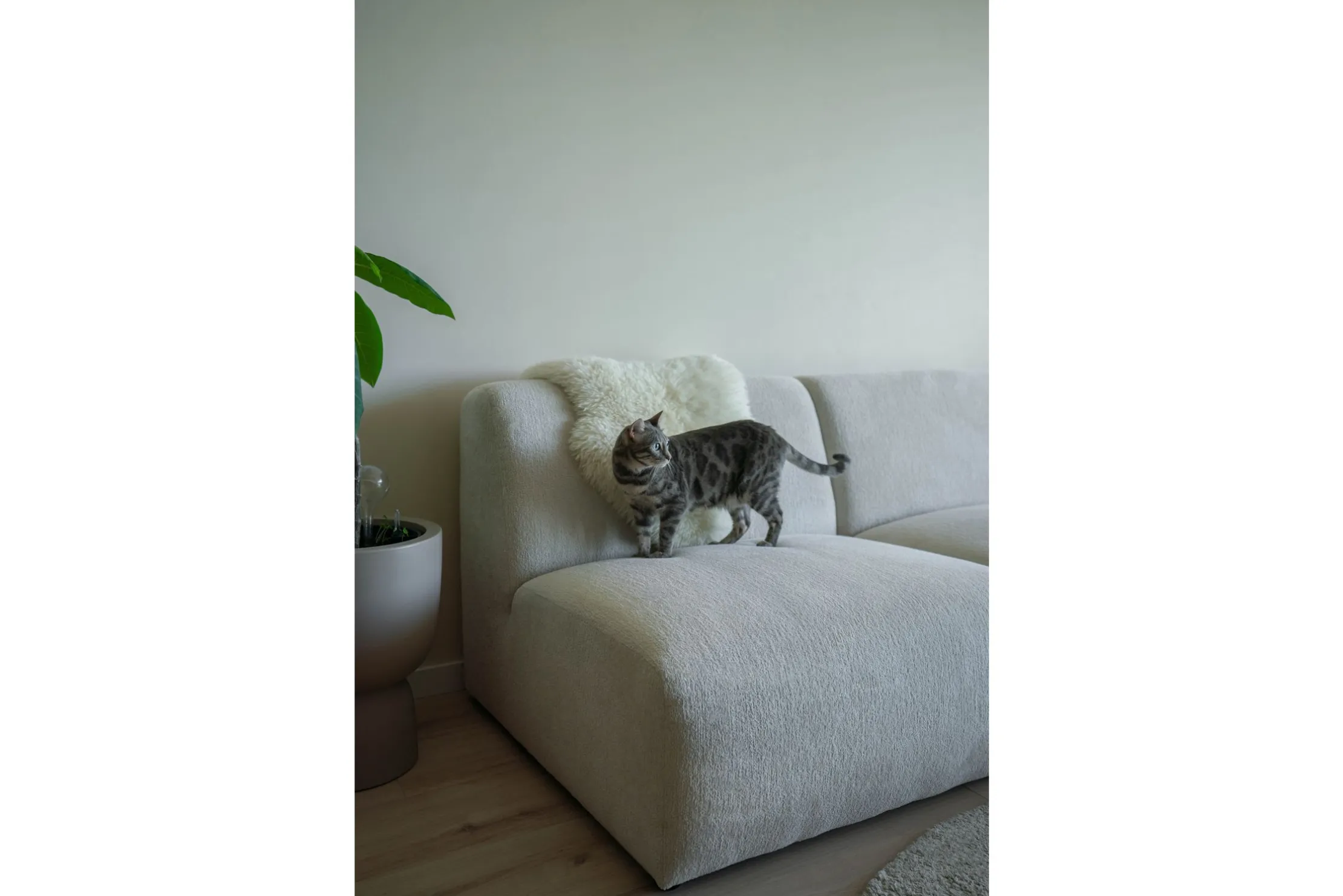 Loungebank Elore