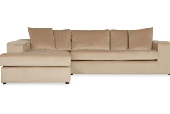 LoungebankHandsome