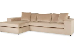 LoungebankHandsome