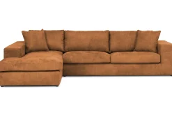 Loungebank Handsome