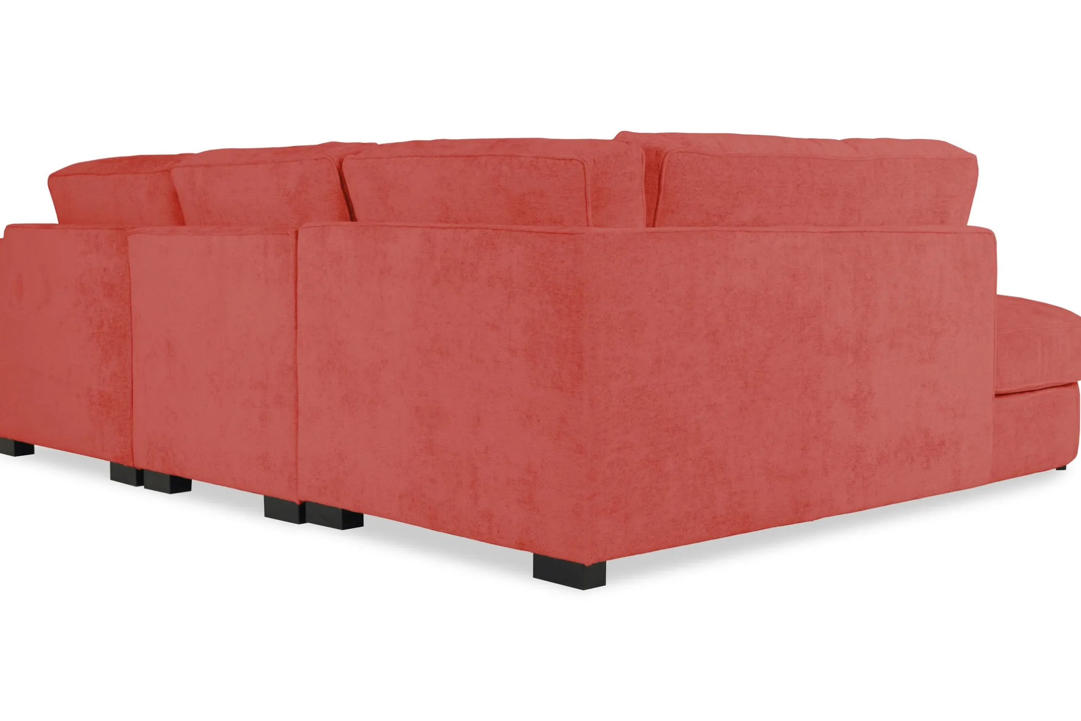 Loungebank Nottingham