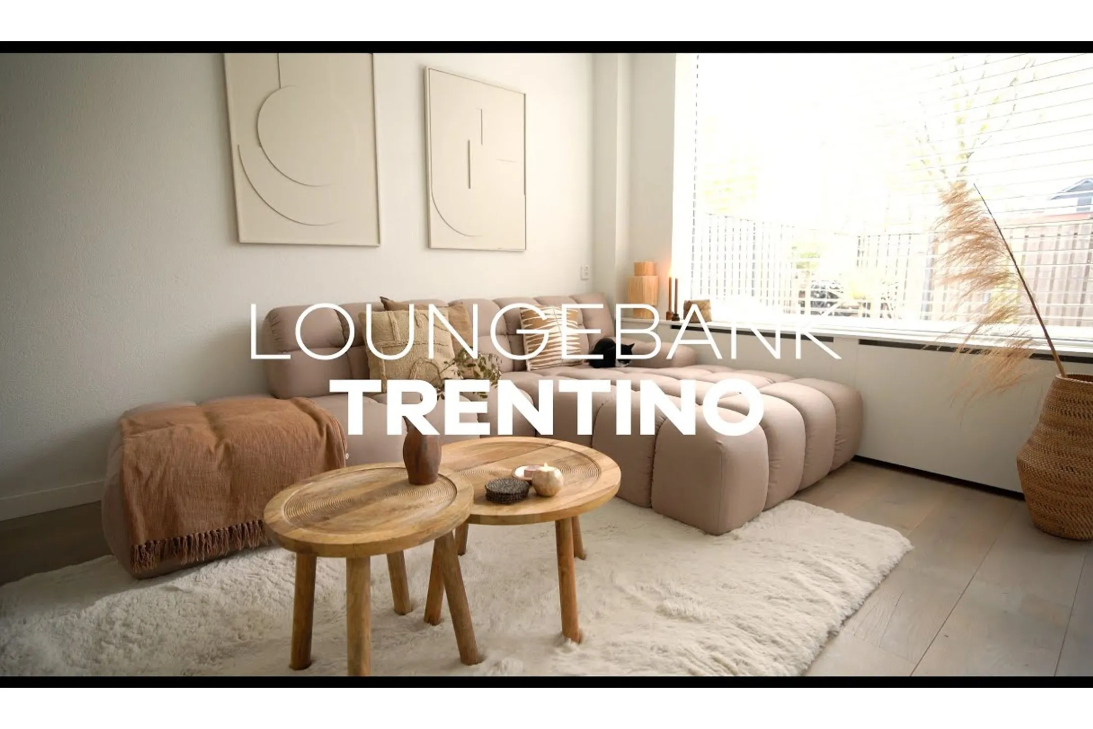 Loungebank Trentino
