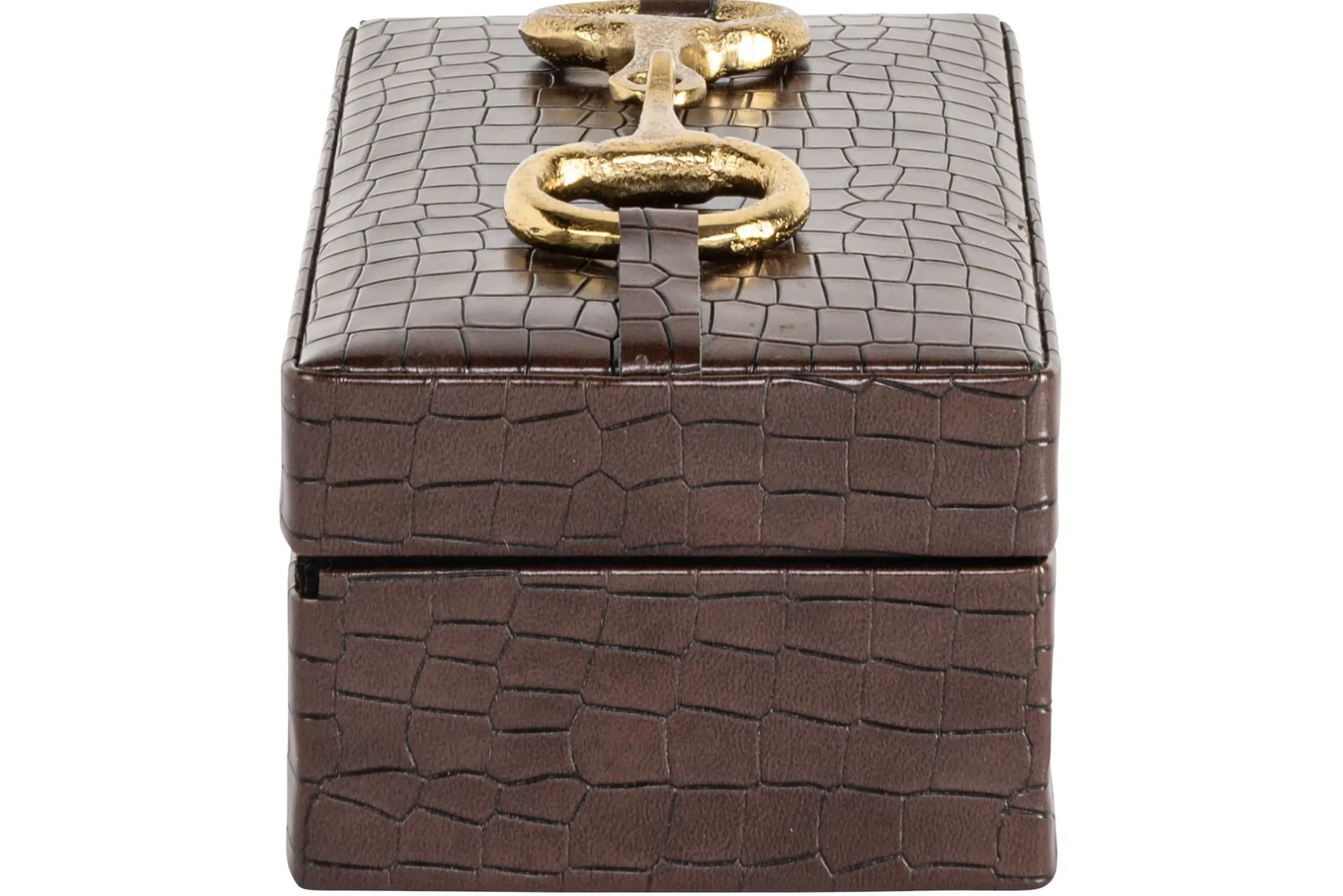 Opbergbox 215836 Rex