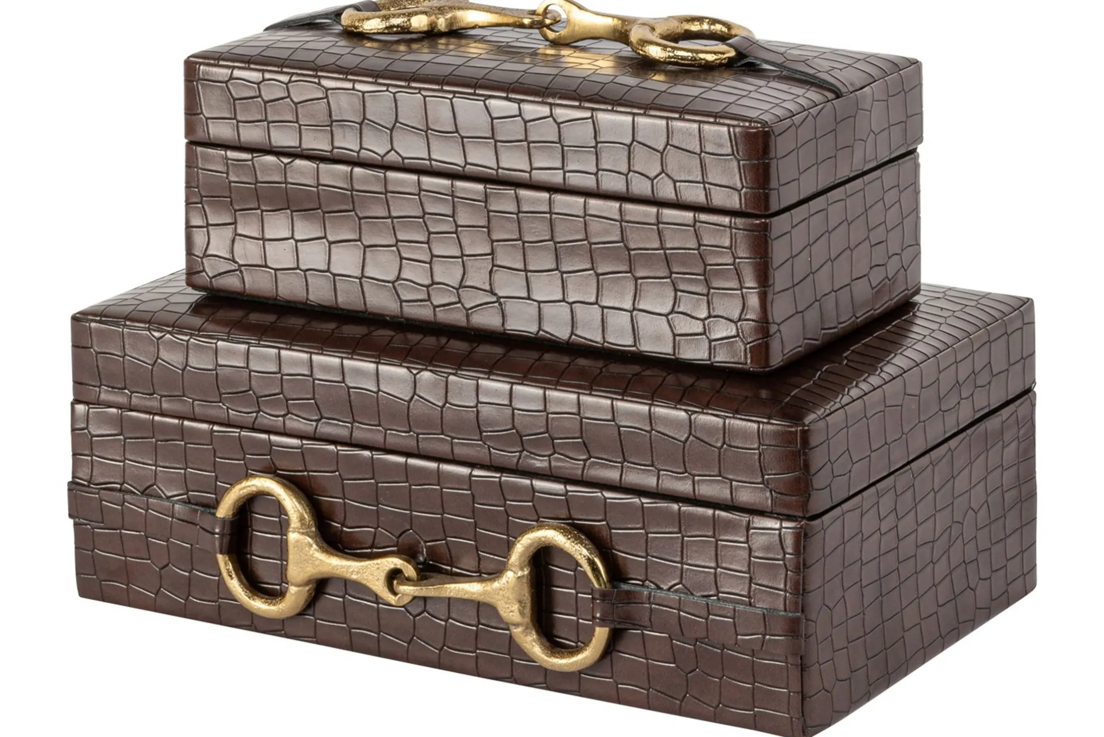 Opbergbox 215837 Rex