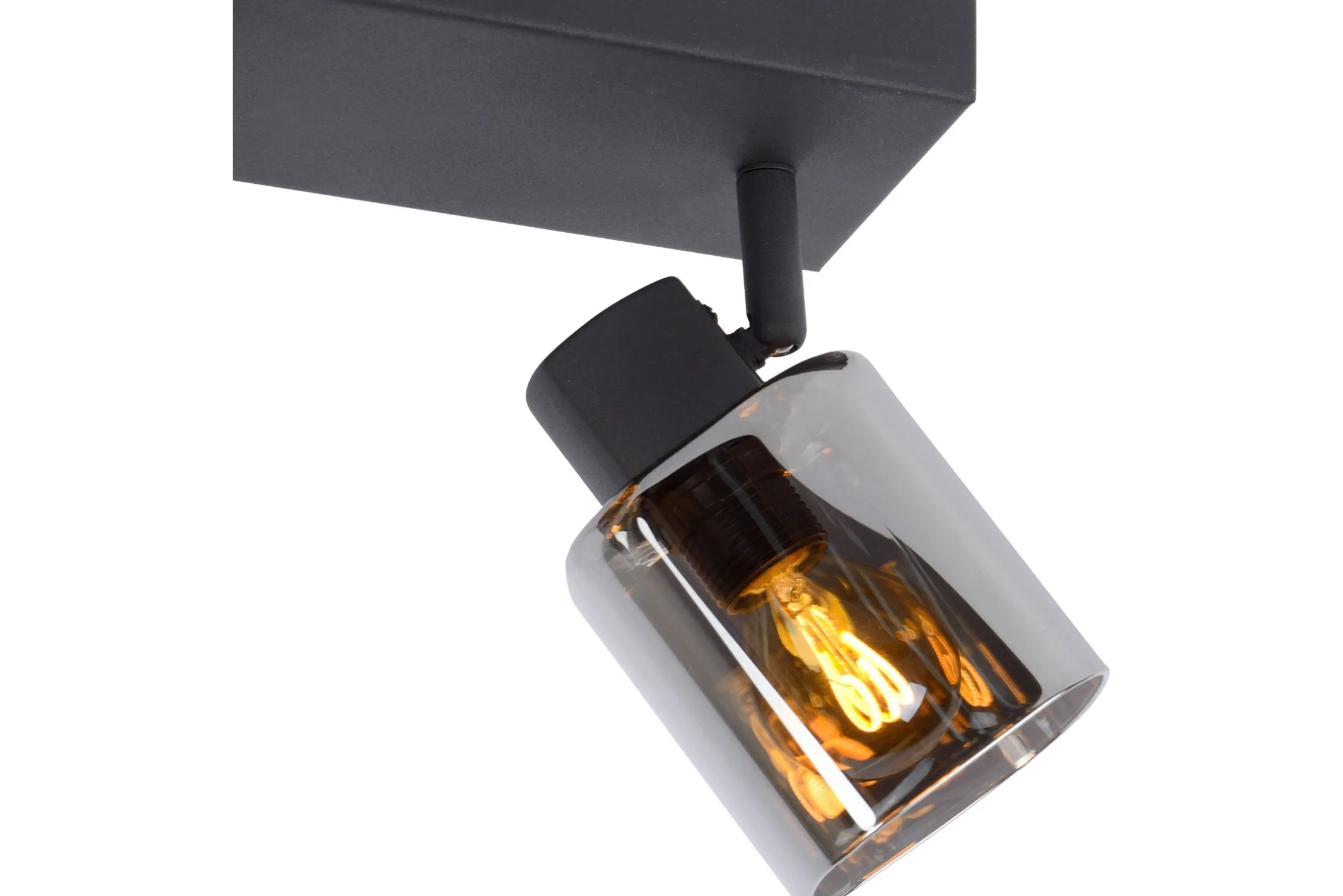 Plafondlamp Alion
