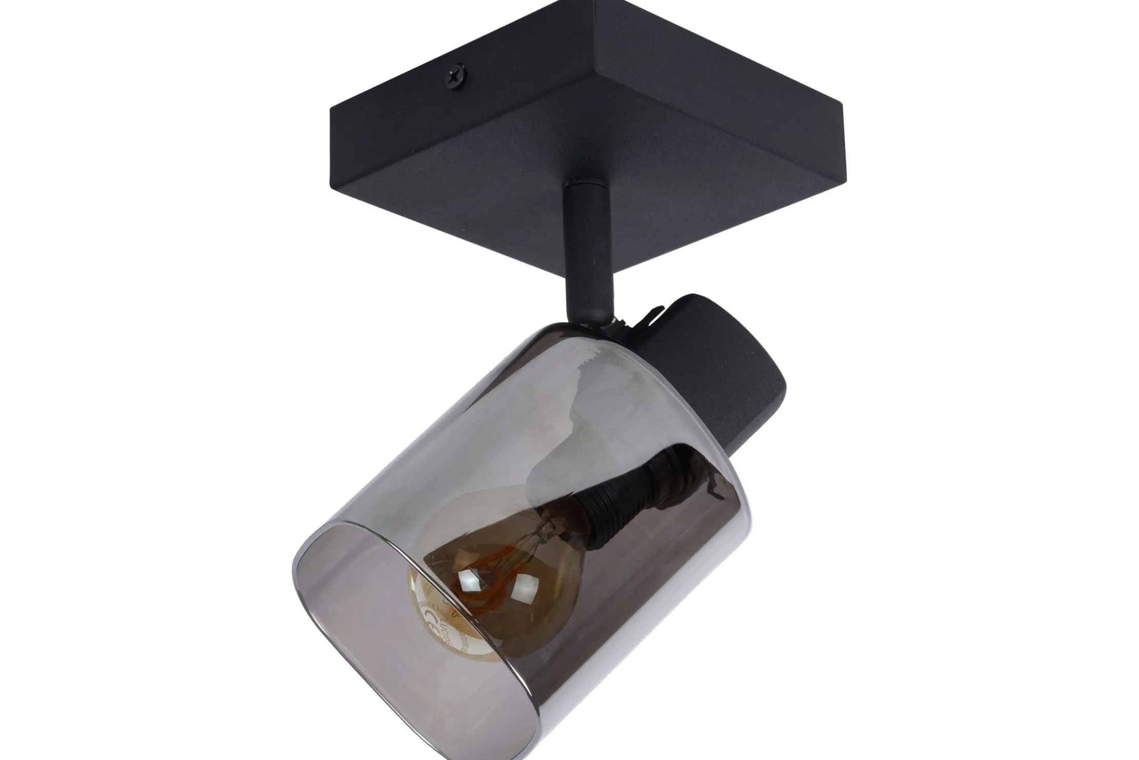 Plafondlamp Alion