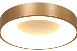 Plafondlamp 2563GO Ringlede
