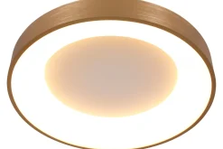 Plafondlamp 2563GO Ringlede