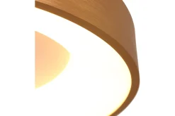 Plafondlamp 2563GO Ringlede