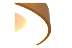 Plafondlamp 2562GO Ringlede
