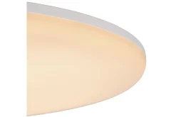 Plafondlamp Olson