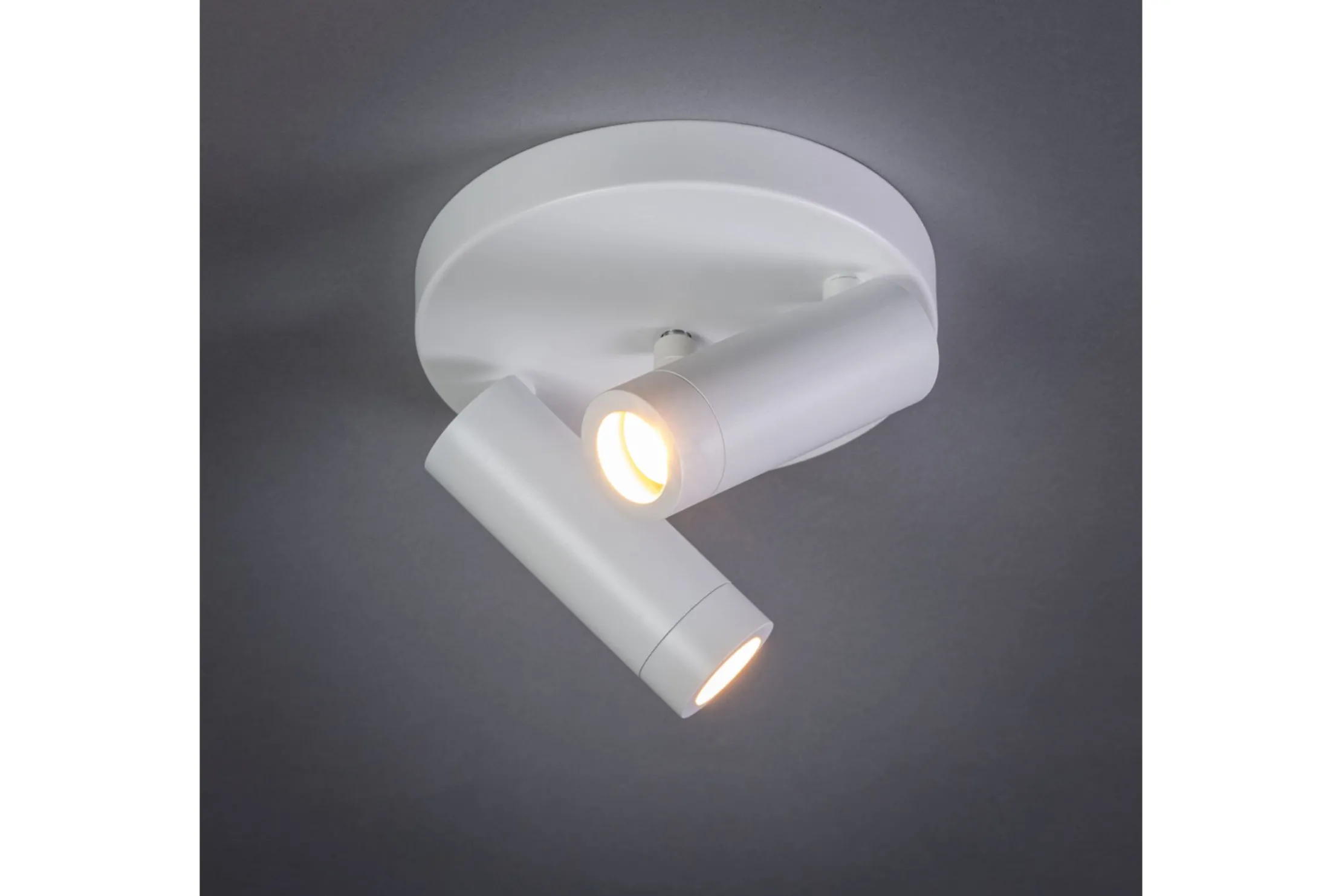 Plafondlamp 05-SP1361-31 Miller