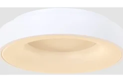 Plafondlamp 2563W Ringlede